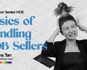 Basics of Handing HDB Sellers